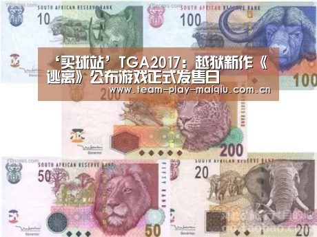 买球站